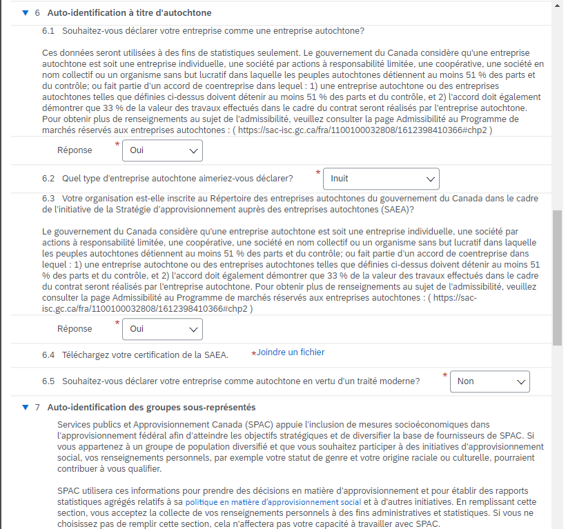 Une capture d’écran des questions 6 – Auto-identification à titre d’autochtone et 7 – Auto-identification des groupes sous-représentés du questionnaire du gouvernement du Canada. 